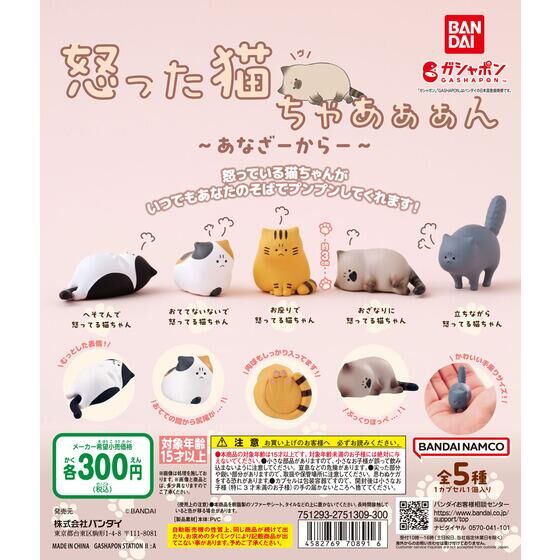 怒った猫ちゃあぁぁん