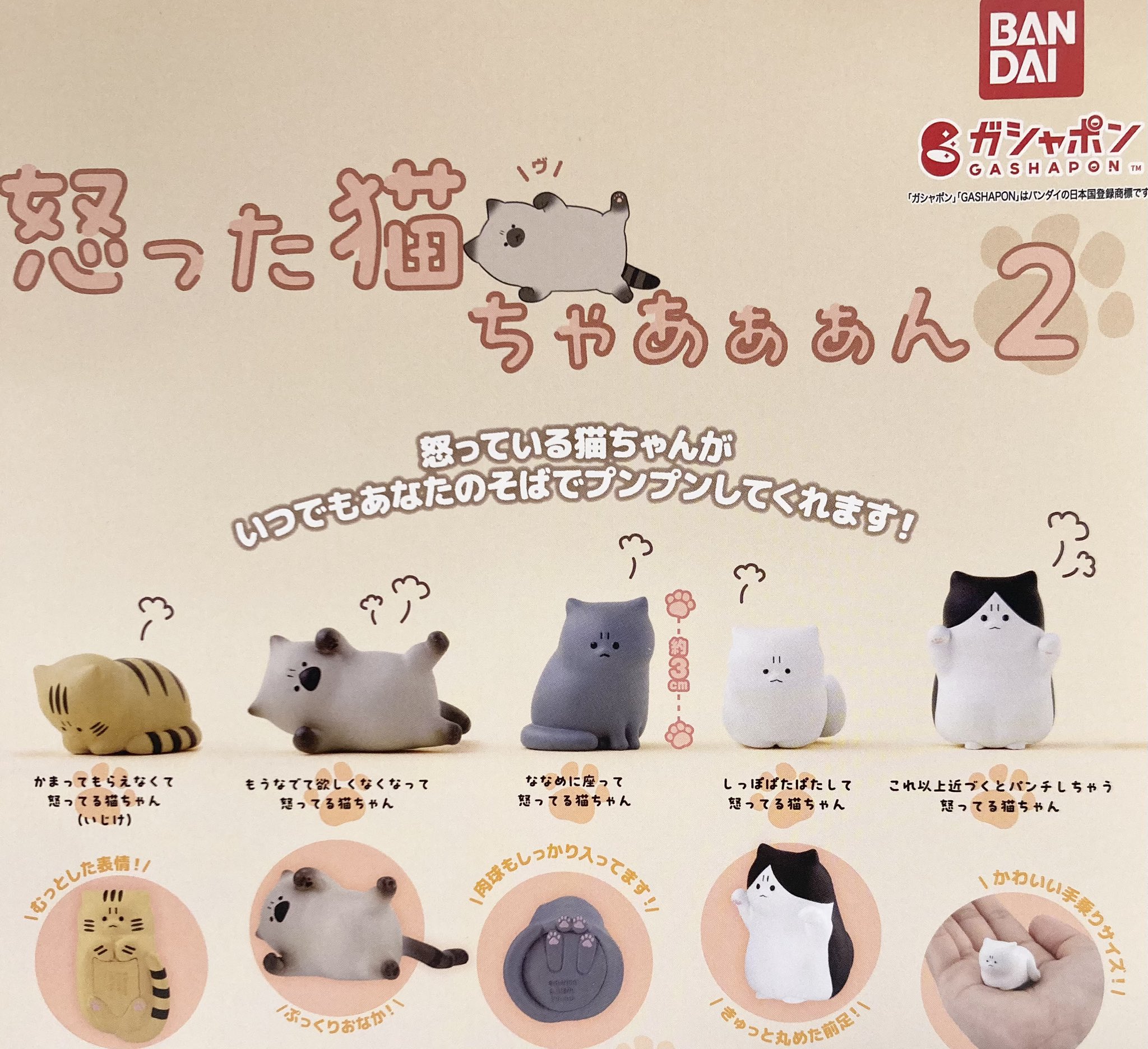 怒った猫ちゃあぁぁん